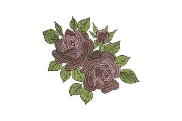 Dusty Pink Garden Roses: A Designer’s Review