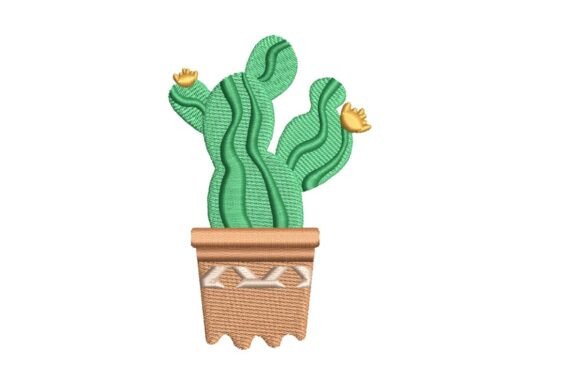 Funky Potted Cactus: A Review for Boutique Apparel