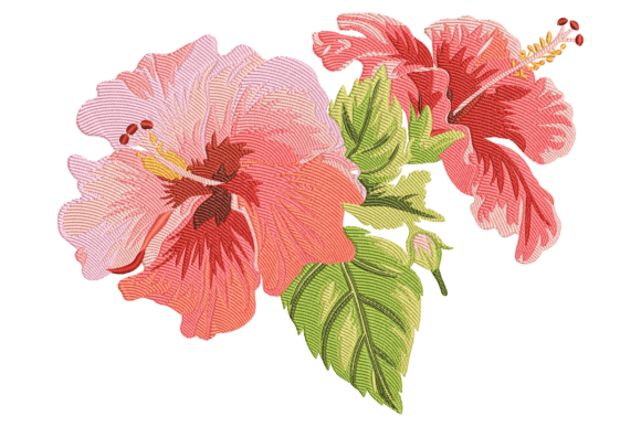 Red Hibiscus Flowers: An Embroidery Designer Review