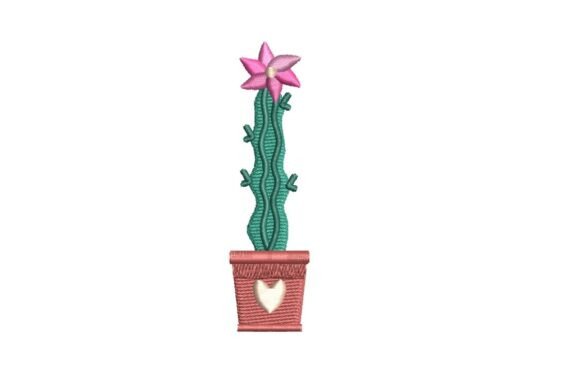 Tall Flowering Cactus in Heart Pot: A Designer Review